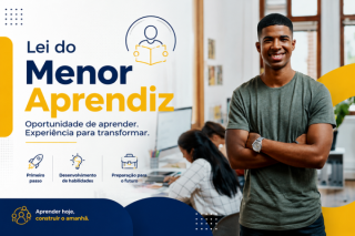Lei da Aprendizagem